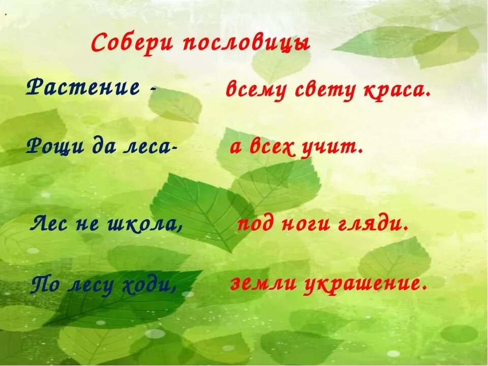 Человек природе пословица. Экологические пословицы для дошкольников. Загадки про экологию. Пословицы про экологию. Загадки на тему окружающая среда.