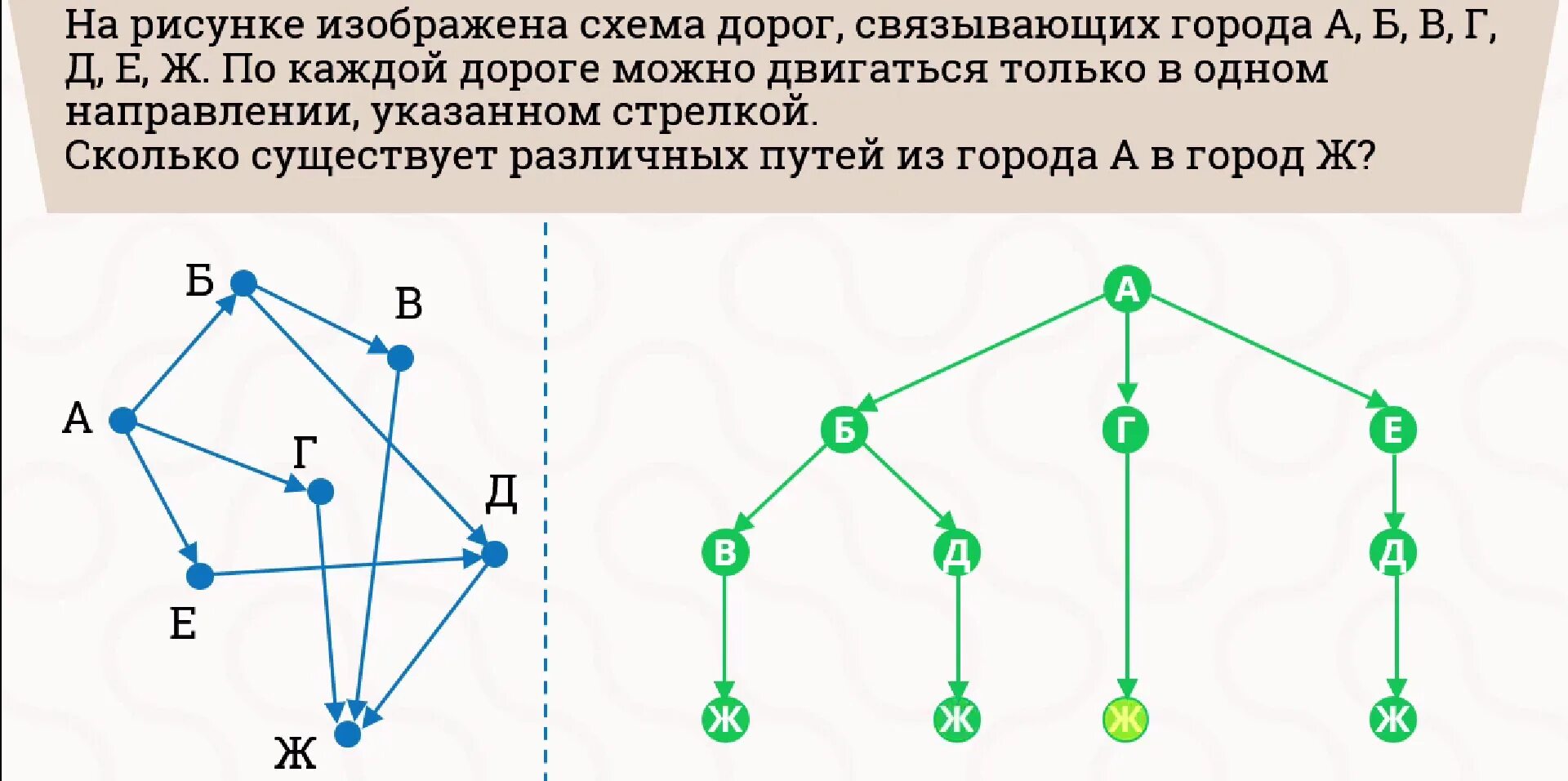 Ветвь графа