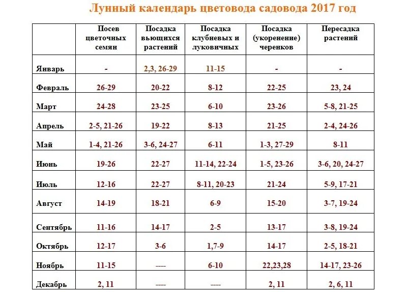 Благоприятные дни для посадки петуньи в марте. Лунный календарь комнатных растений на 2021 год. Лунный календарь пересадки комнатных растений на 2020 год. Лунный календарь для посадки растений пересадки. Календарь цветовода.