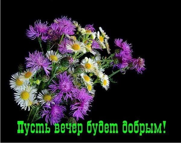 ПРИВЕТСТВИЯ и ПОЖЕЛАНИЯ, открытки на каждый день. опубликовал пост от 15 августа