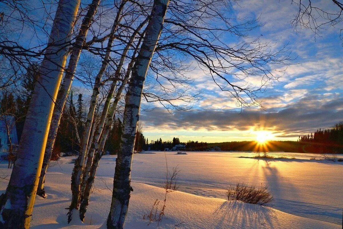 Февраль природа. Зимний день. Февральский пейзаж. Солнечный зимний день. Солнечный день январь