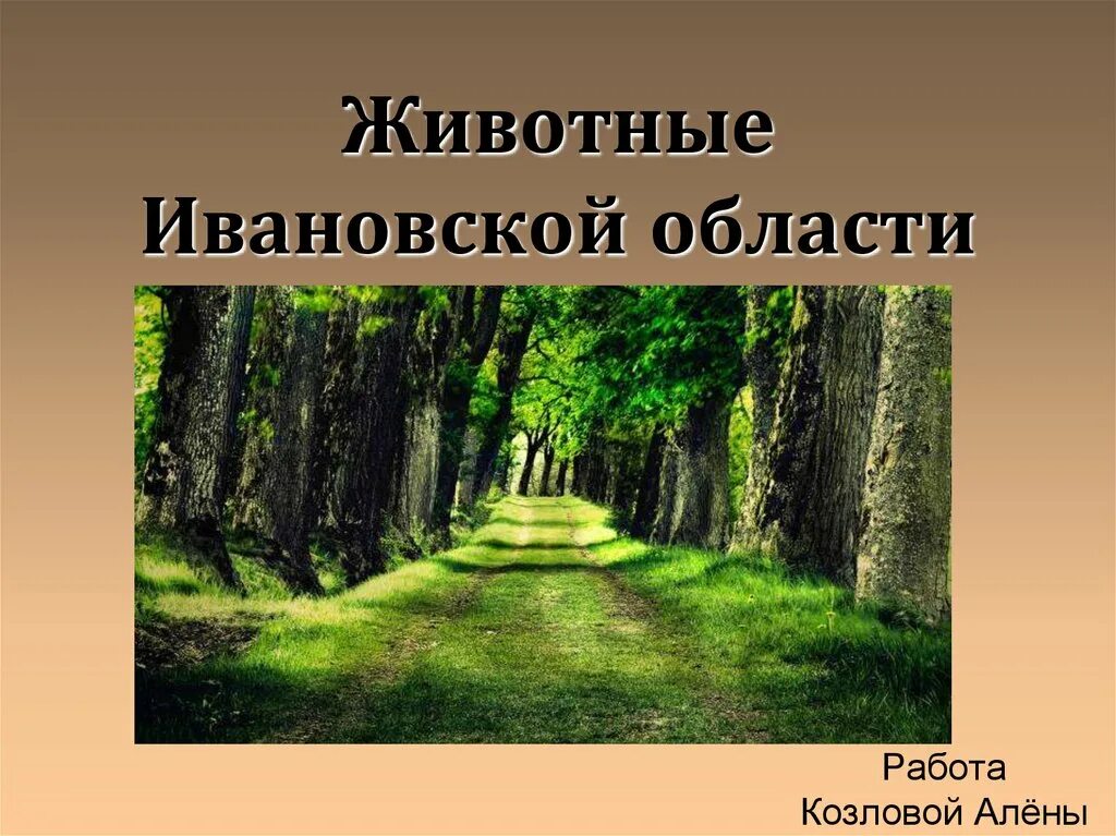 Растительный мир ивановской области. Растительный и животный мир Ивановской области. Разнообразие природы Ивановской области. Животный и растительный мир Ивановской обл.