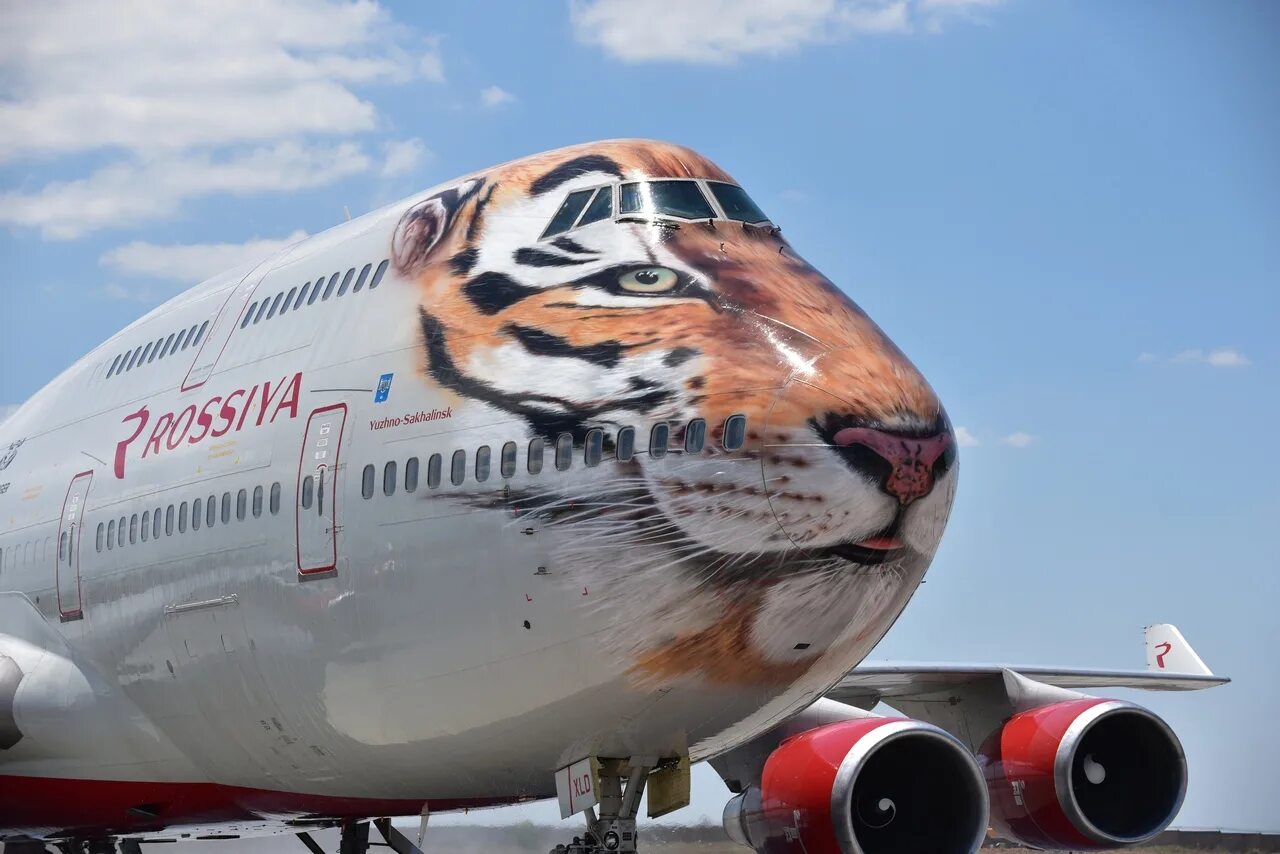 Самолет россия владивосток. Боинг 747 Тигролет. Боинг 747 тигр. Самолёт Boeing 747 тигр. Симферополь Владивосток самолет.