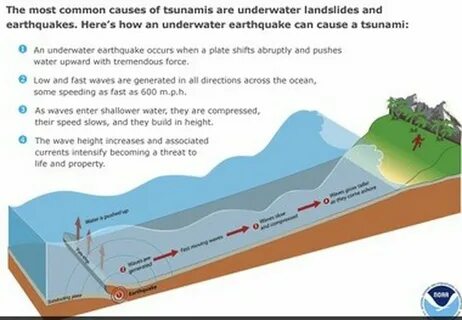 Tsunami causes