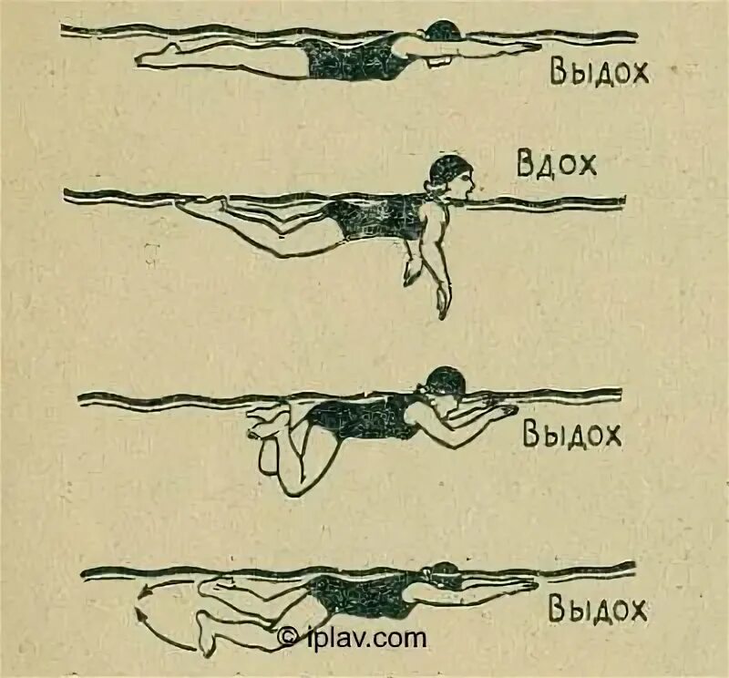 Дыхание при плавании кролем. Техника плавания брассом. Техника дыхания при плавании брассом. Брасс техника плавания упражнения. Техника плавания брассом дыхание.