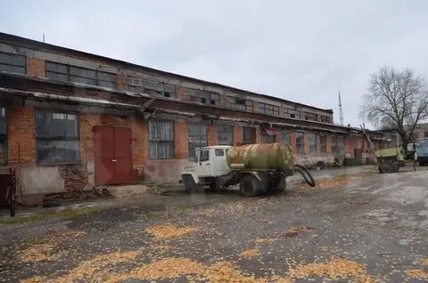Погода в шварцевском на 14