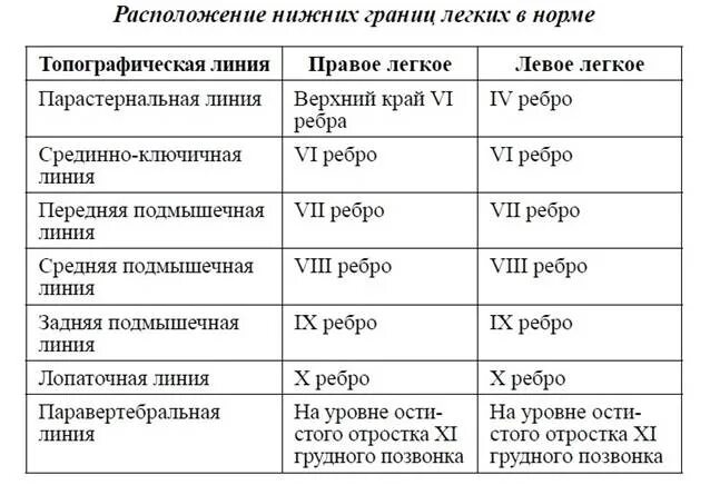 Границы правого и левого легкого таблица. Нижние границы легких в норме таблица. Топографическая перкуссия легких показатели в норме. Топографическая перкуссия лёгких норма таблица.