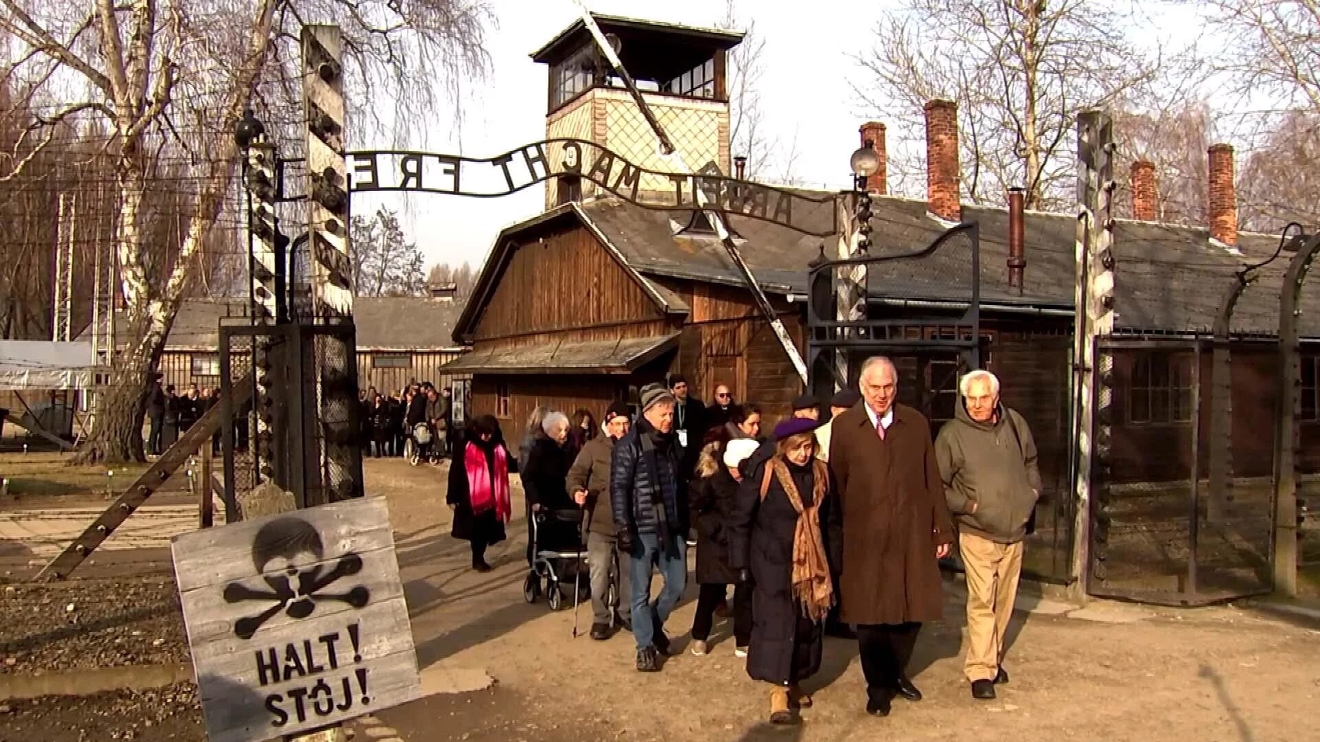 Camp mourning русский. Электронный концлагерь. Camp Mourning Wood галерея.