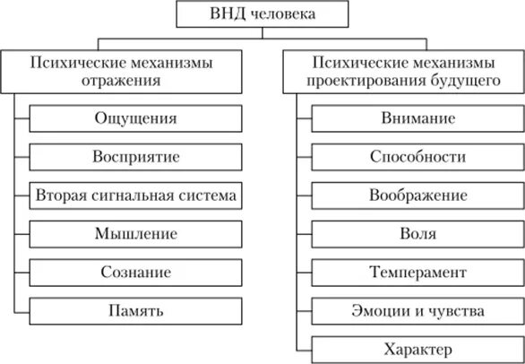 Высшей нервной деятельности является. Формы проявления высшей нервной деятельности. к высшей нервной деятельности относят. познавательные функции высшей нервной деятельности человека. высшая нервная деятельность кратко и понятно.