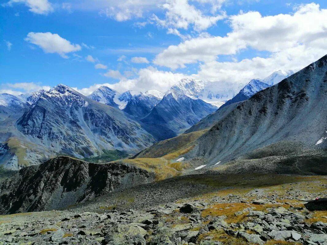 В какой стране находятся горы алтай. Глыбовые горы Алтай. Золотые горы Алтая Белуха. Биданка Алтай гора. Томул гора Алтай.