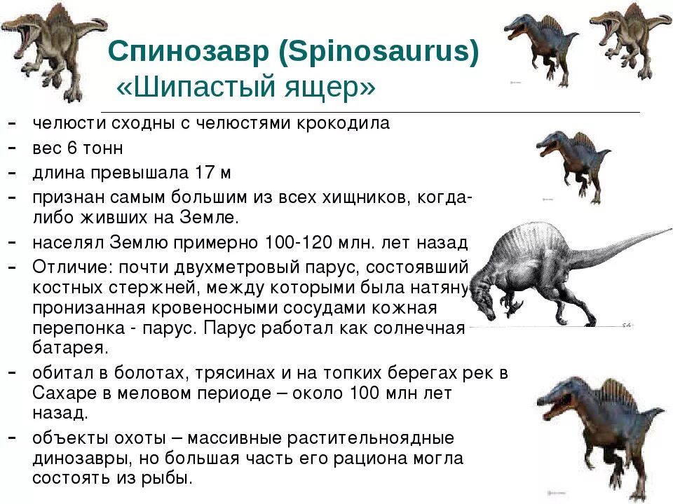 Конспект динозавры. Спинозавр интересные факты. Спинозавр краткое описание. Доклад про динозавров. Факты о динозаврах.