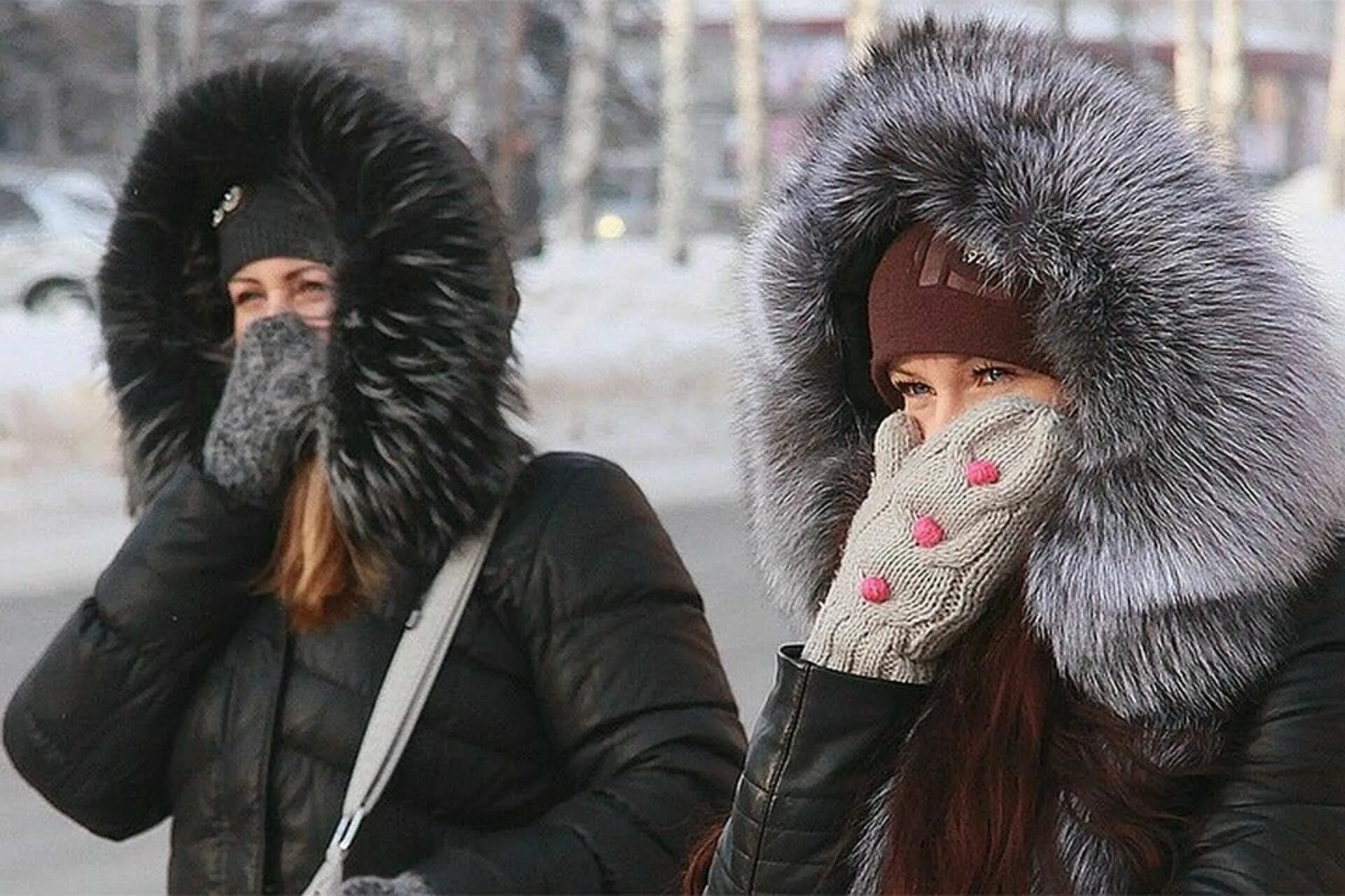 Сильный мороз в городе. Сильный Мороз. Холод в Москве. Сильные холода в Москве. Зима холодно.