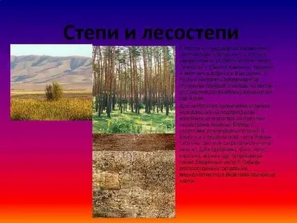Климат степного алтая умеренно континентальный с выраженным