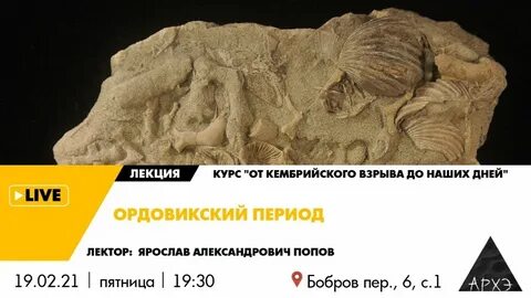 Период курса