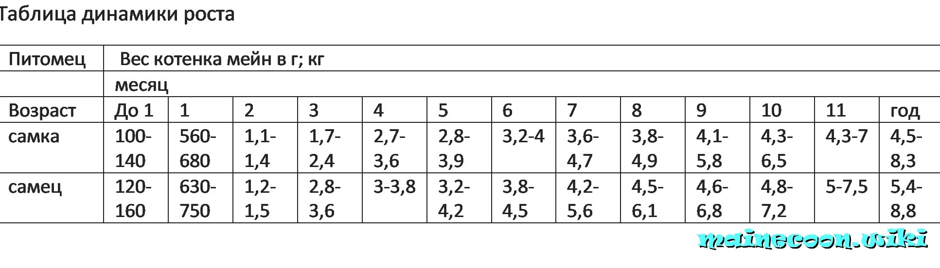 Мейн кун таблица веса по возрасту. Таблица веса Мейн куна по месяцам нормы. Вес котёнка Мейн кун по месяцам таблица. Вес и Возраст Мейн куна таблица.