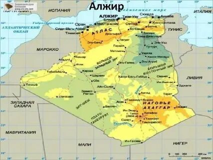 Соседи алжира