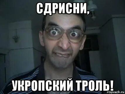 Стой лехов
