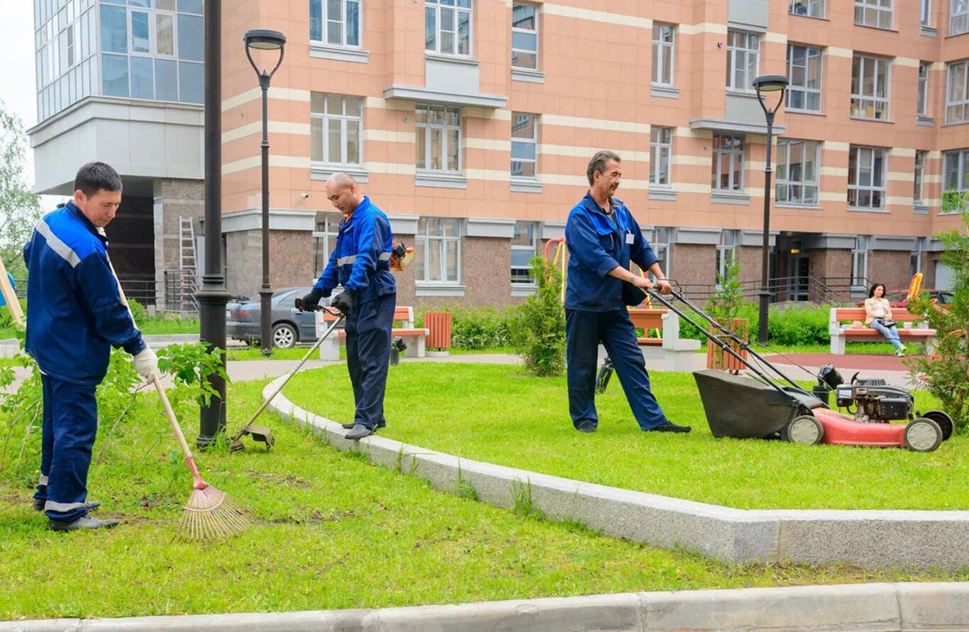 Ухаживать за территорией. Благоустройство территории. Озеленение и благоустройство территории. Уборка и благоустройство территории. Уборка территории.