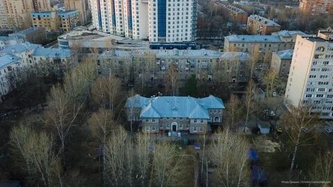 Королев садовая