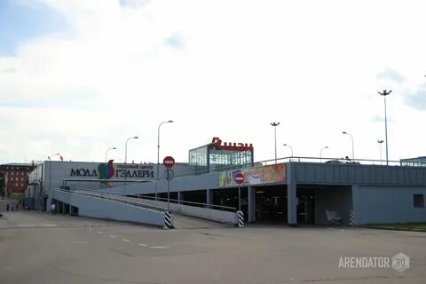 Ашан сигнальный