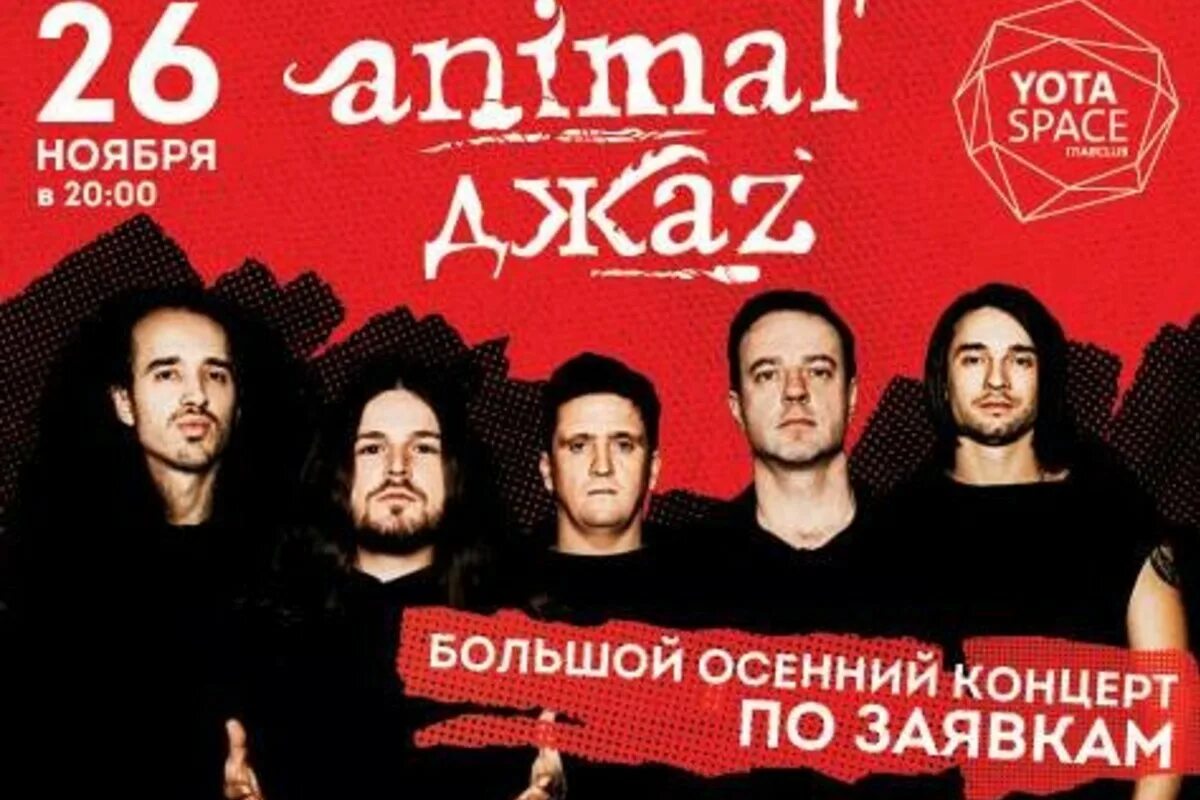 Animal ДЖАZ. Концерт animal ДЖАZ В Москве. Animal ДЖАZ концерты 2022. Animal ДЖАZ концерт 2021. Animals концерт