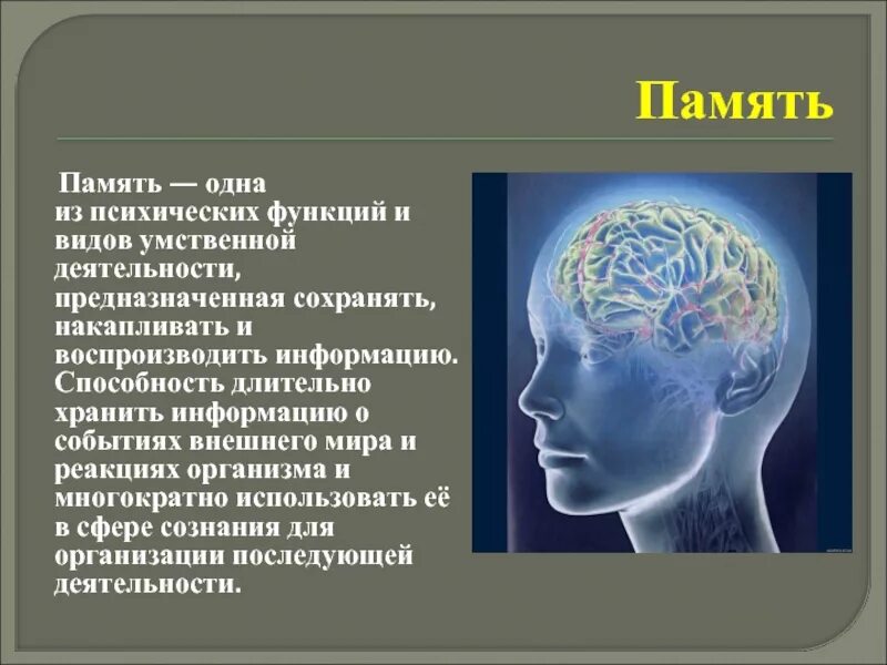 Сознание и высшие психические функции