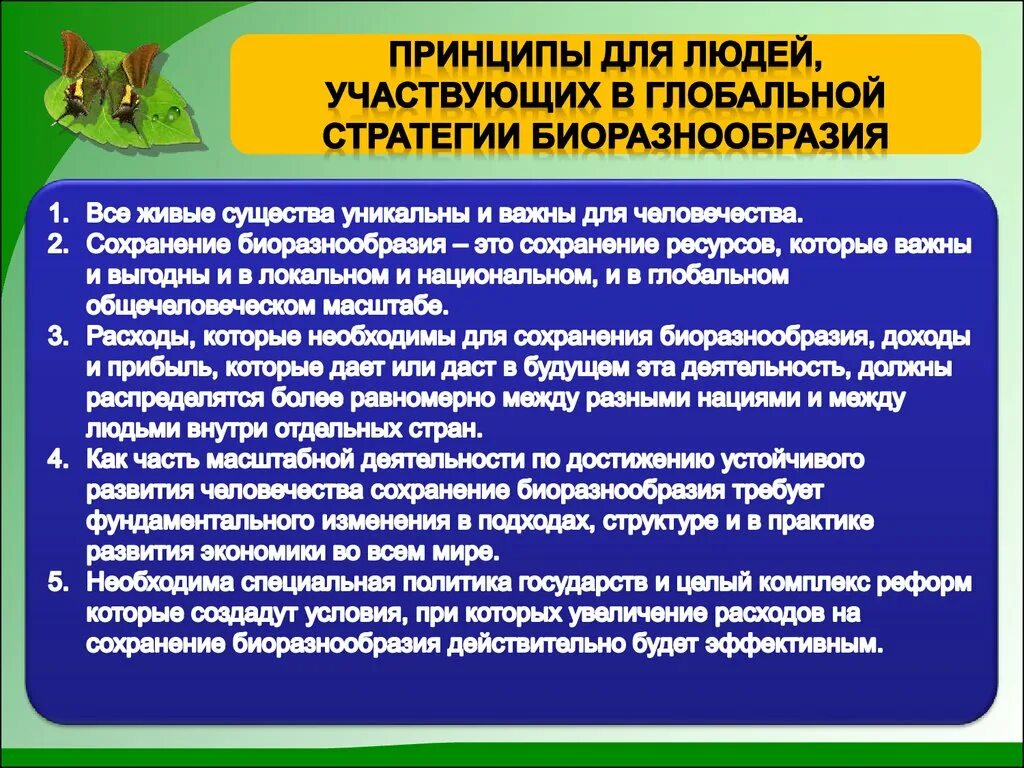 Сохранение биоразнообразия. Биологическое разнообразие. Биоразнообразие презентация. Сохранение биоразнообразия презентация.