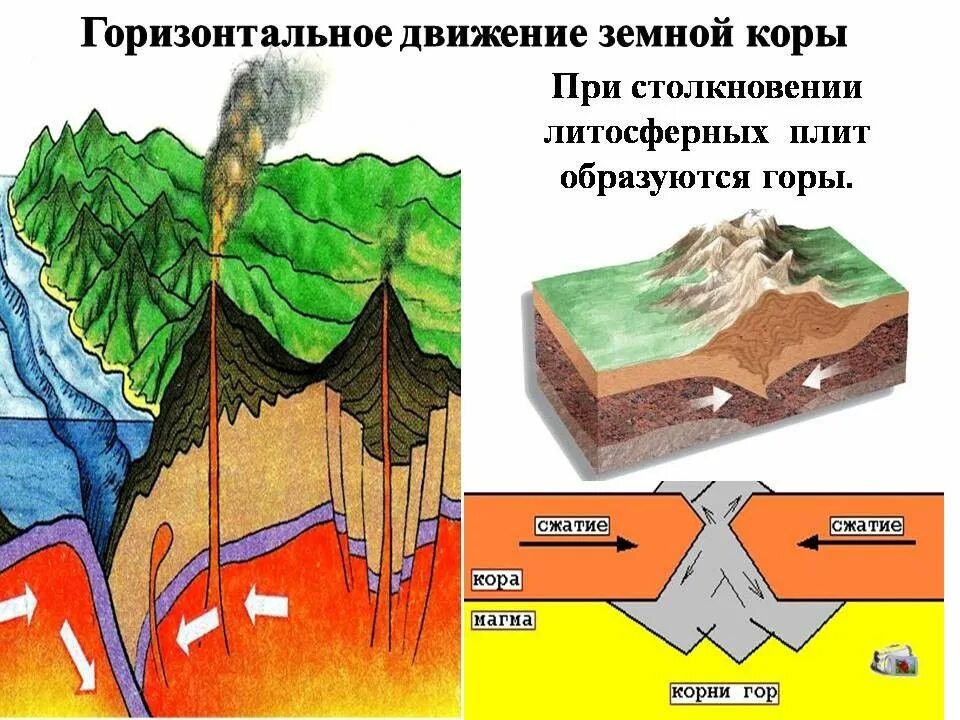 Тектонические движения земной коры схема. Горизонтальные движения земной коры. Горизонтальные тектонические движения. Строение плит земной коры. В литосфере существует жизнь