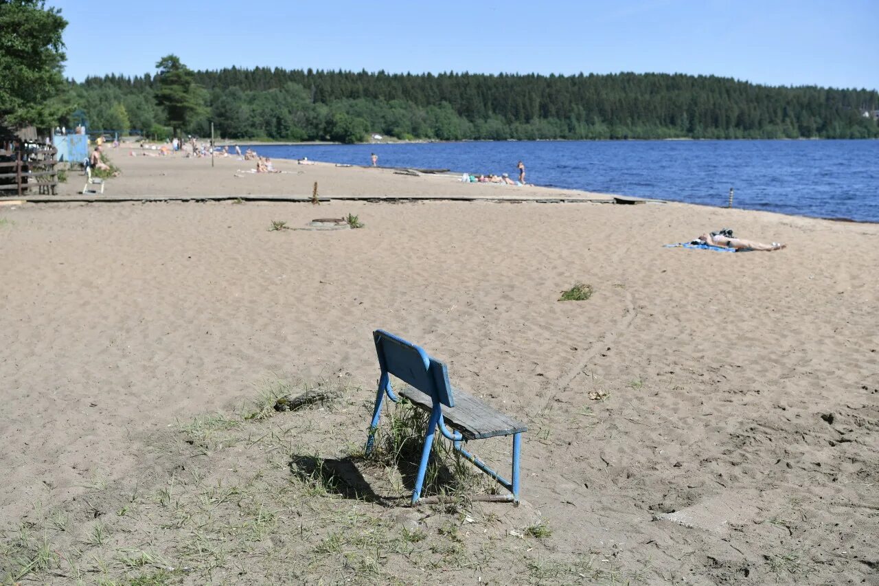 Карелия купаться. Пляж Пески Петрозаводск. Озеро Четырехверстное Петрозаводск. Пляж Пески Петрозаводск 2022. Озеро Четырехверстное Петрозаводск пляж.