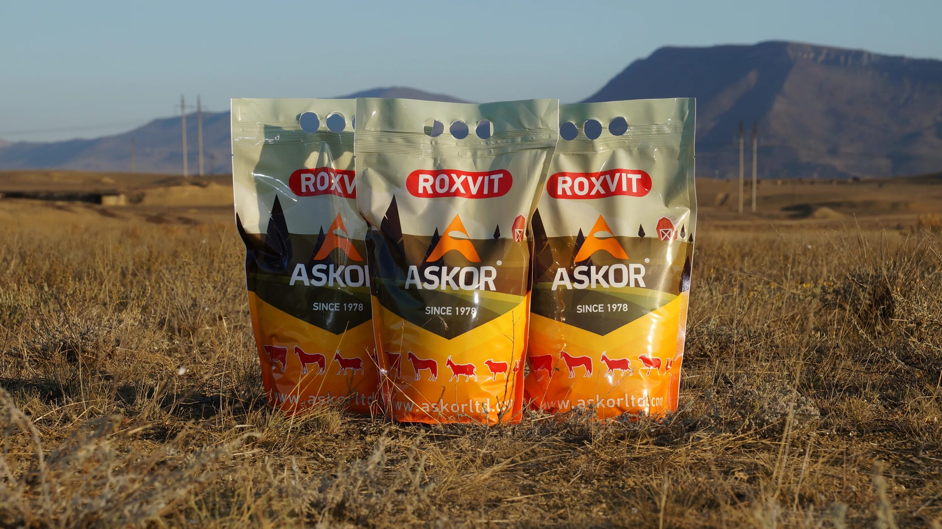 Аскор для крс. Аскор для крс. Корма) [универсальный]. Премикс аскор. Премикс роксвит для крс.