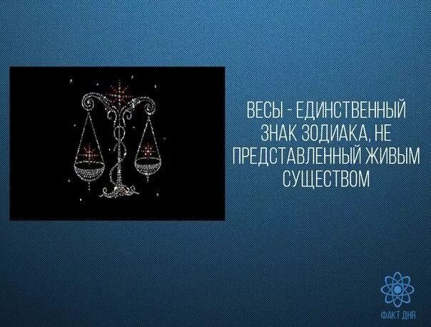 Мужчина весы расставание. Факты о весах. Знаки зодиака. Весы. Смешные факты про весов. Цитаты про весы.