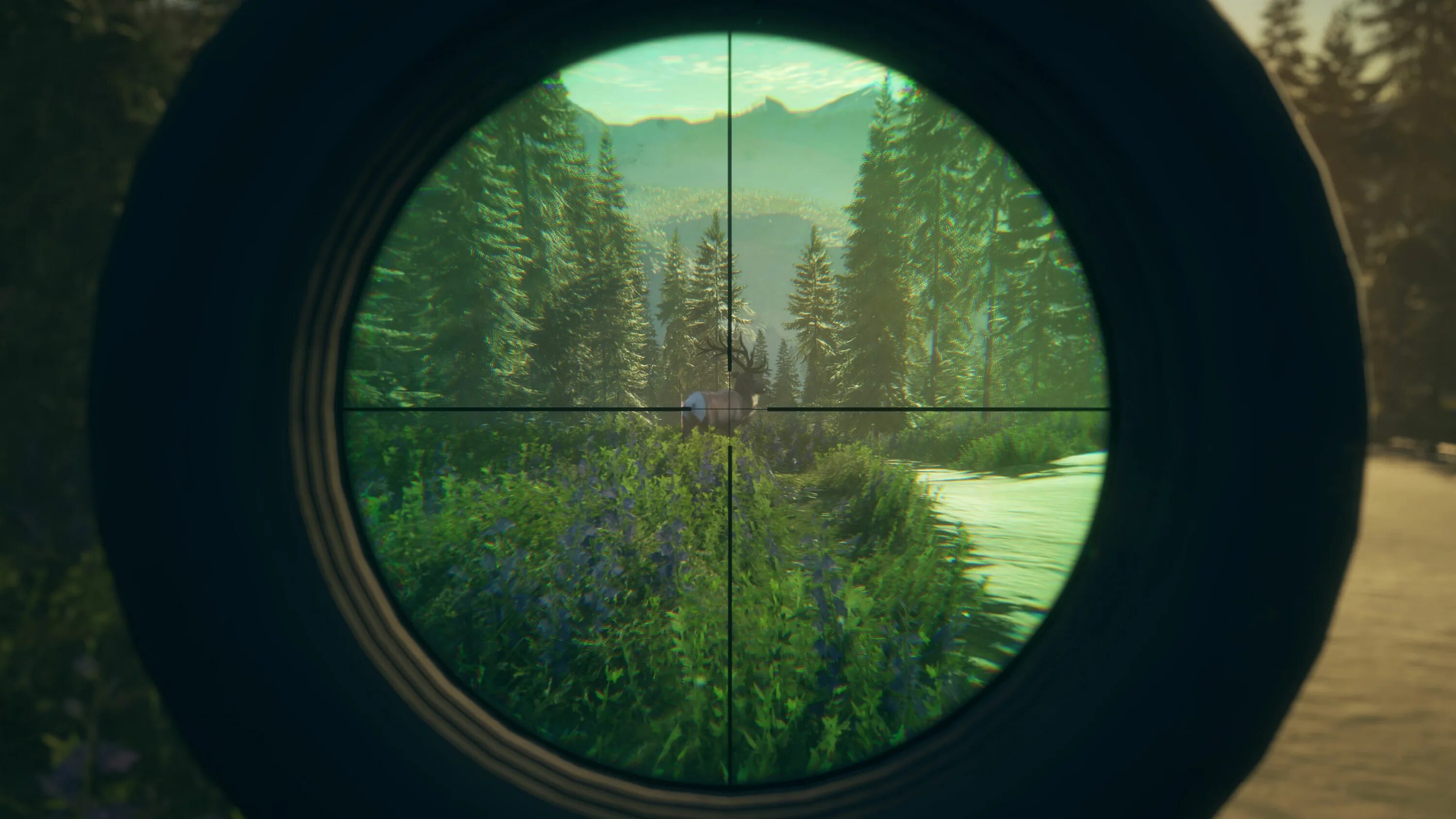 The hunter call of the wild мод. Thehunter call of the wild ps4. hunt call of the wild. the hunter call of the wild пс 4. the hunter call of the wild обложка.