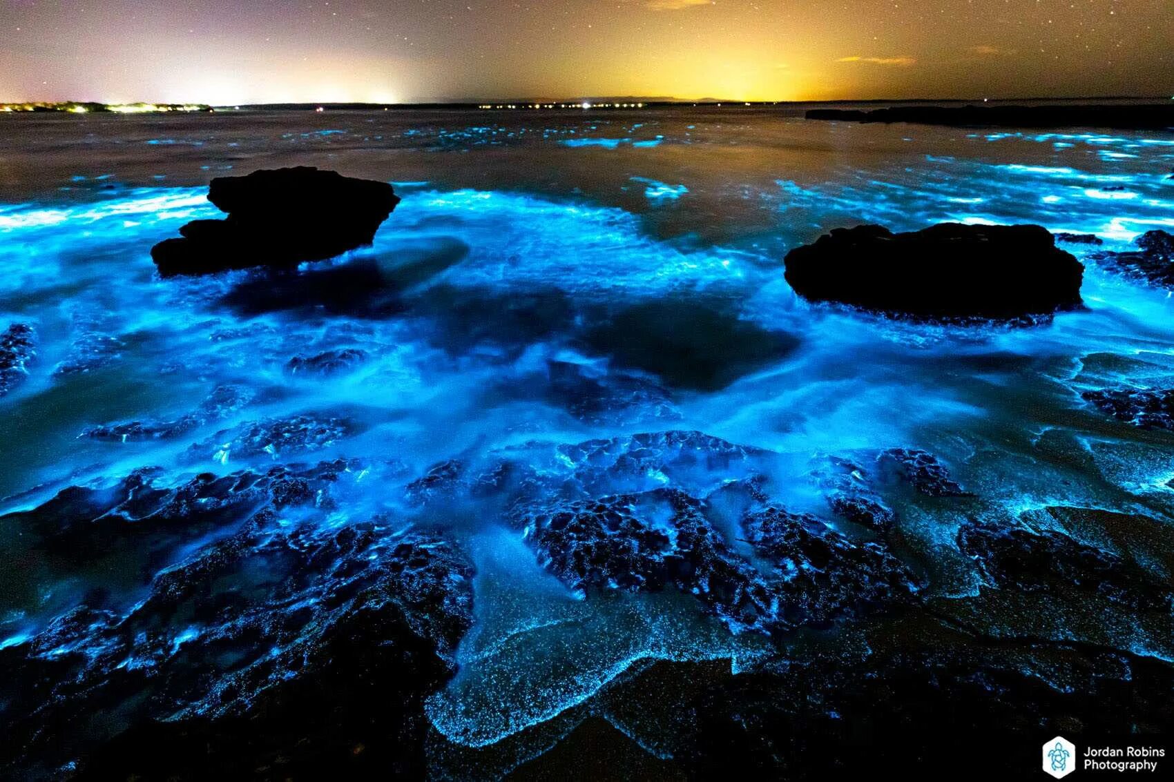 Планктон мирового океана. Остров Ваадху Мальдивы. Водоросль ночесветка черное море. Мальдивы остров Ваадху море. Планктон ночесветка.