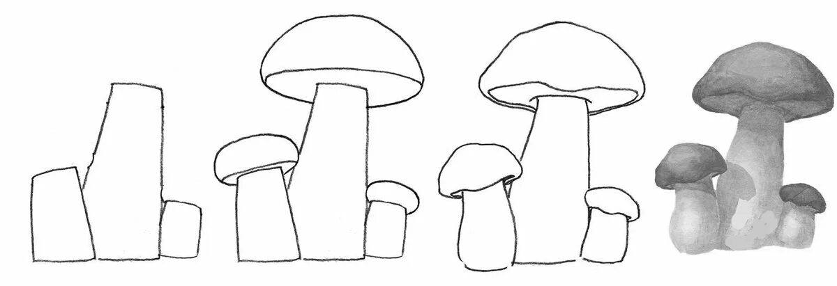 Грибы карандашом. Уроки рисования грибы. Гриб рисунок для детей карандашом. Поэтапное рисование грибов. Грибы поэтапно