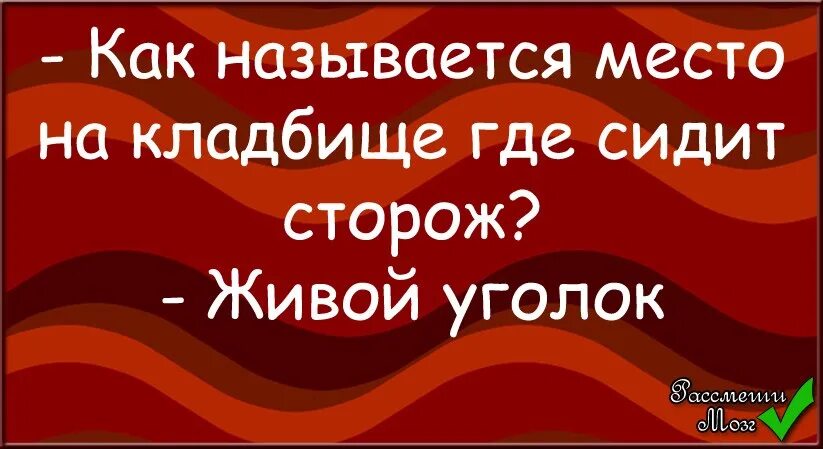 Живы угол думаешь. Шутки про магию. Анекдоты про магию. Магический юмор в картинках. Магия прикол.