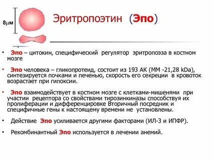 Эритропоэтин анализ