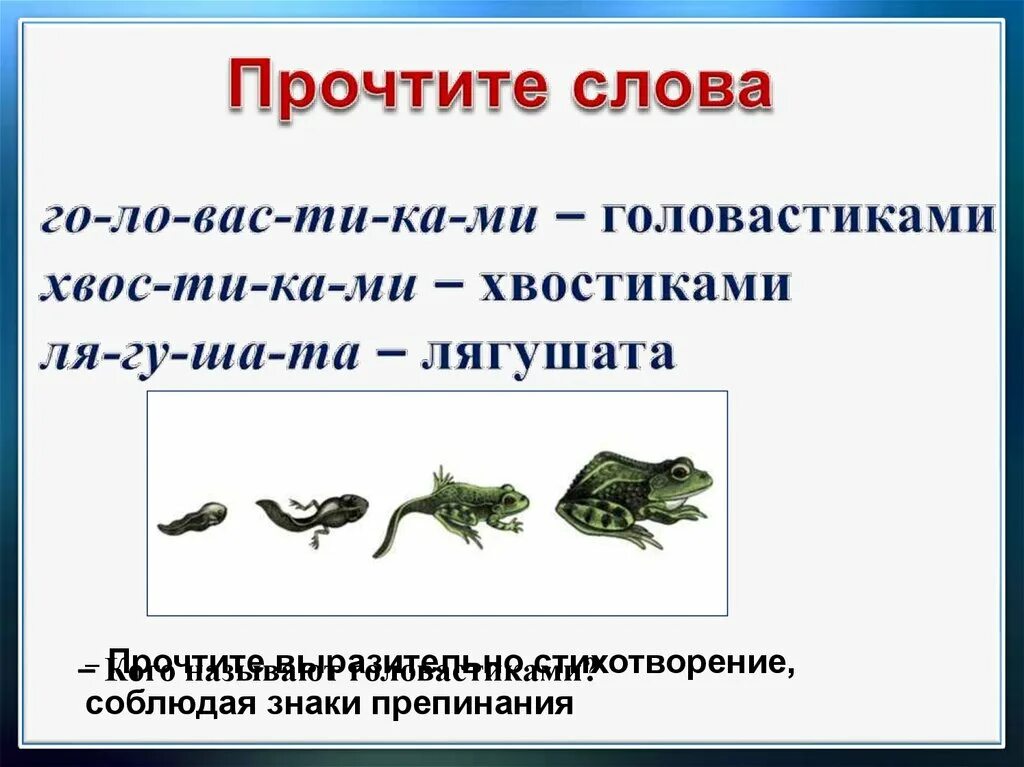 Лягушата Берестов литературное чтение. 1 Класс литературное чтение лягушата. Берестов лягушата 1 класс. Стихотворение лягушата Берестова. Как разделить слово лягушка