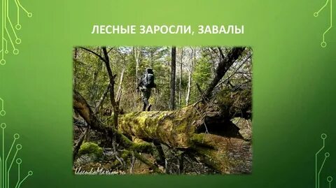 Уплотнять заросли