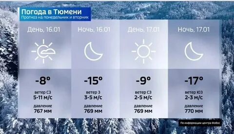 Погода в начале ноября 2023