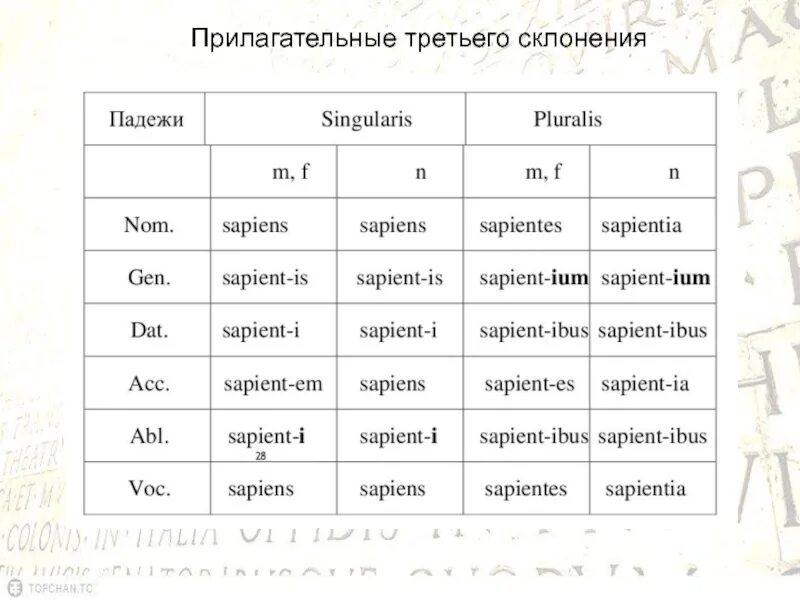 Прилагательные три группы. Прилагательные 3 склонения латынь. Склонение прилагательных латынь 2 склонение. Прилагательные 2 склонения латынь. Склонение прилагательных третьего склонения латынь.