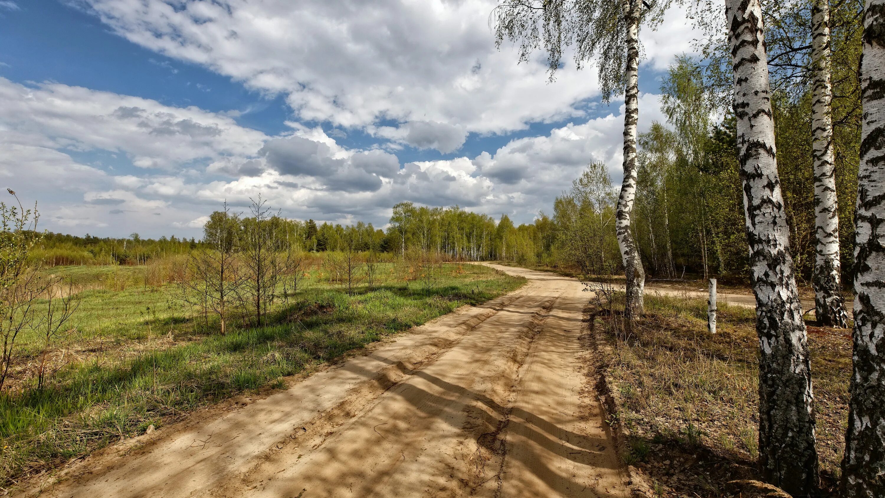 Две березки у дороги минус. Природа дорога. Березы дорога. Русская природа дорога. Весенний лес.