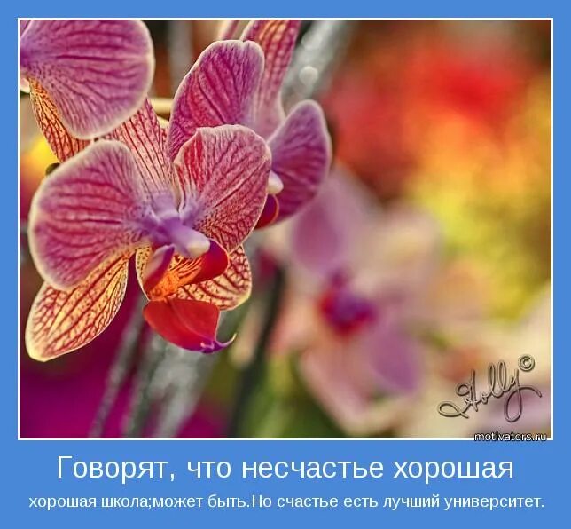 Гордость житейская. Не обижайтесь на детей стихотворение. Гордость и гордыня. Пролитая соль к несчастью картинка. Пушкин несчастье хорошая школа.