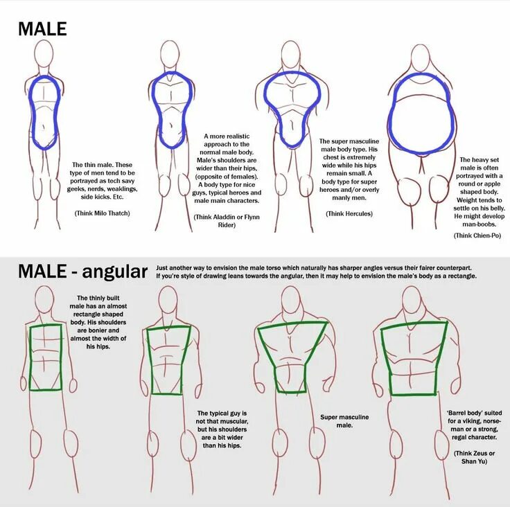 Shape explanation