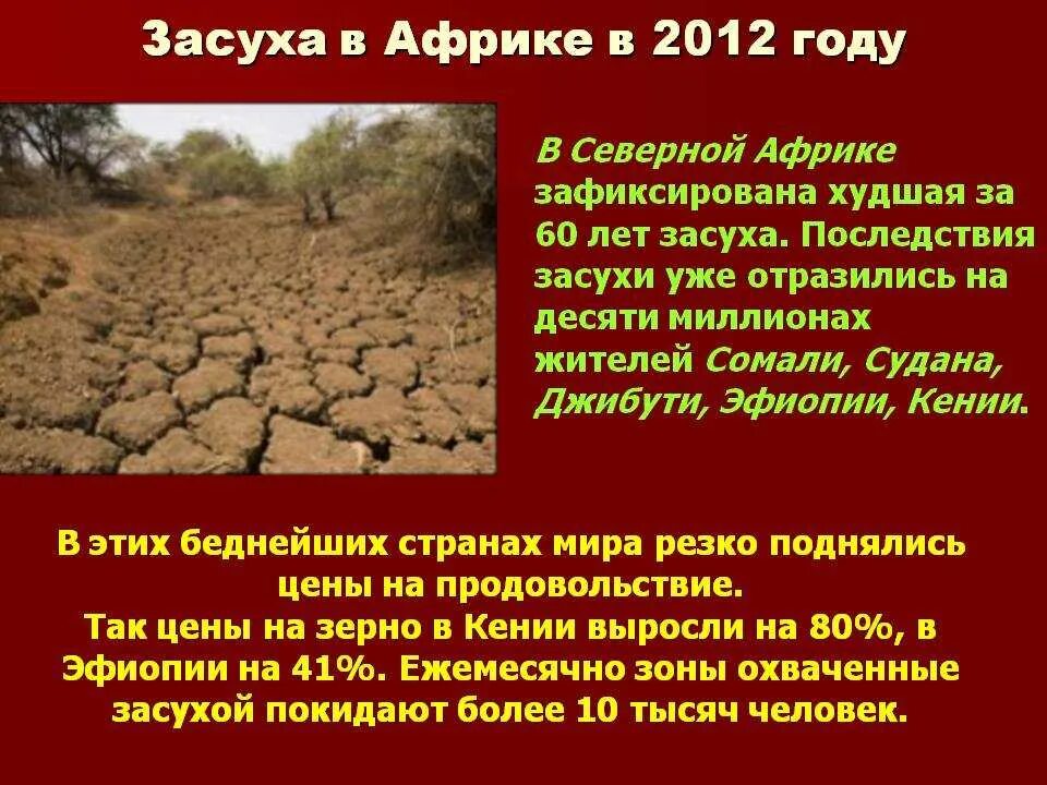 Засуха значение. Последствия засухи кратко. Причины возникновения засухи.