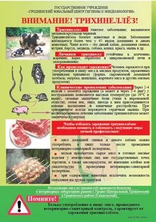 Лечение трихинеллеза