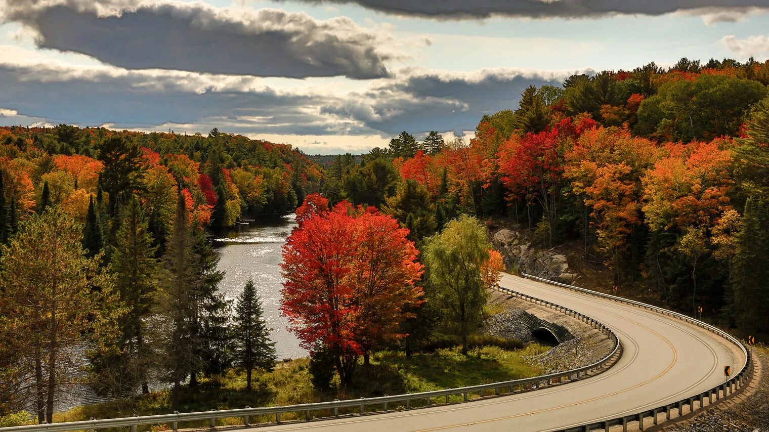 Fall five