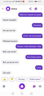 Ok google кто лучше ты или алиса