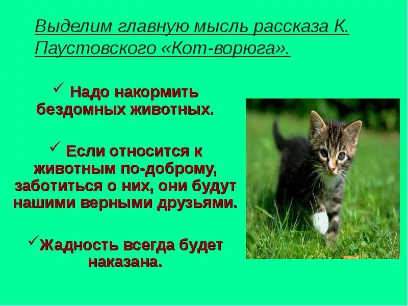 Основная мысль текста про кота. План кот ворюга 3 класс. План к рассказу кот ворюга Паустовский 3. Кот-ворюга Паустовский Главная мысль рассказа. Кот-ворюга Паустовский основная мысль.