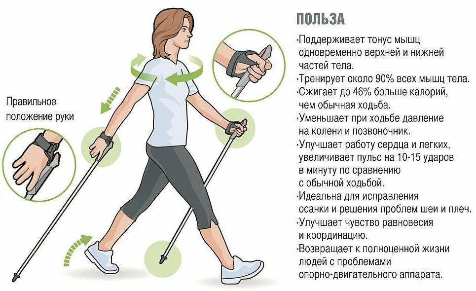 Методика скандинавской ходьбы с палками для начинающих. Скандинавская ходьба кисловодск. Северная ходьба с палками техника ходьбы для пожилых людей. Ходьба с сарматом. Техника скандинавской ходьбы для начинающих с палками.