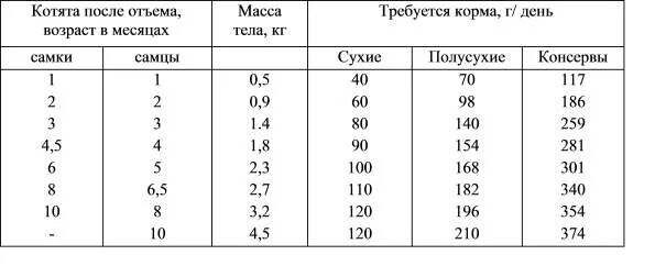 Сколько должен съедать котенок в 2 месяца. Норма сухого корма для котят 5 месяцев. Норма сухого корма для котят 5 мес. Норма корма для мейн куна 4 месяца. Сколько должен кушать котенок 1.